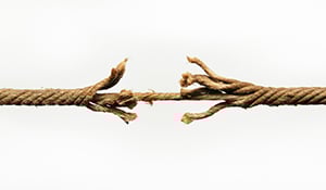 The Forgotten Human Factor in Cybersecurity